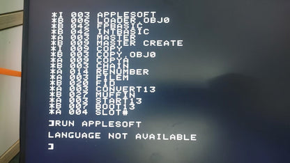 Apple II Floppy Disk Emulator